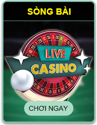 Live Casino