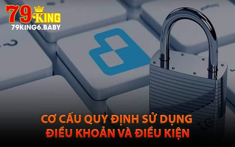 Cơ cấu quy định về điều khoản và điều kiện
