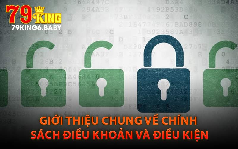 Giới Thiệu Chung Về Chính Sách Điều Khoản và Điều Kiện